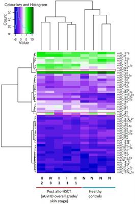 Differential MicroRNA Expression Levels in Cutaneous Acute Graft-Versus-Host Disease